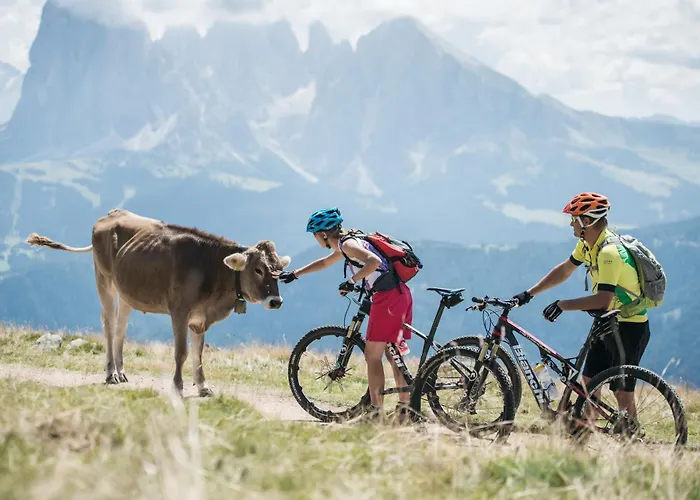 Hotel Cosmea 4 Stars - Your Dolomites Experience
